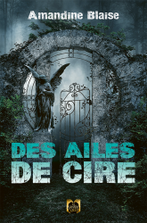 Des Ailes de Cire - Ebook